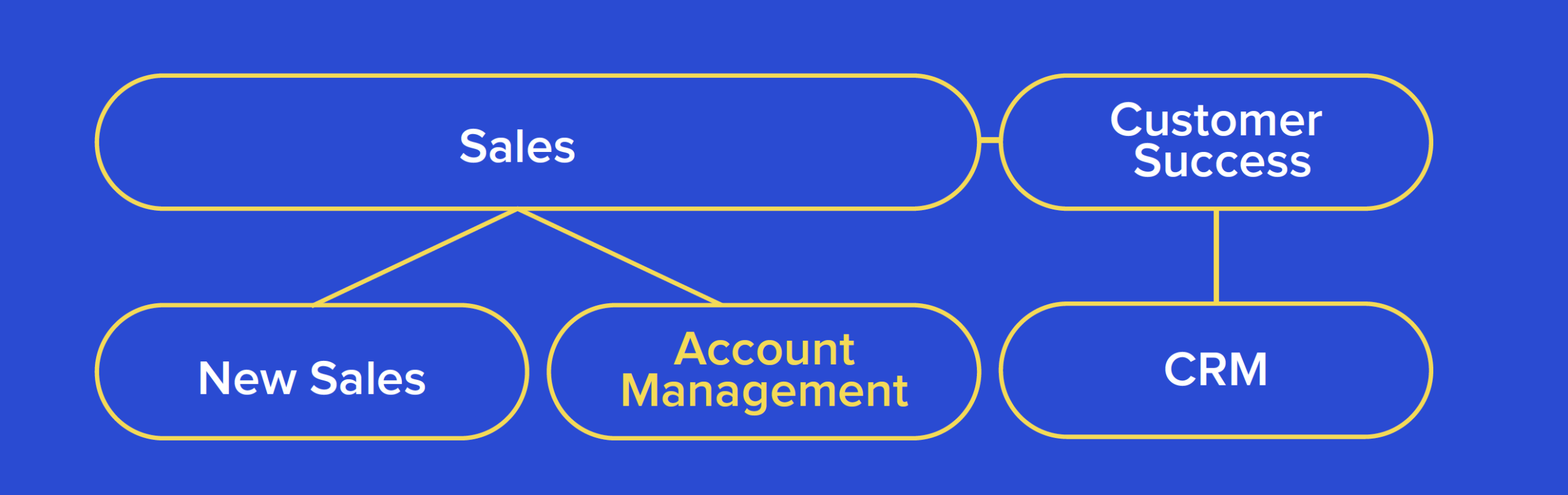 Org Structure with Account Management under Sales